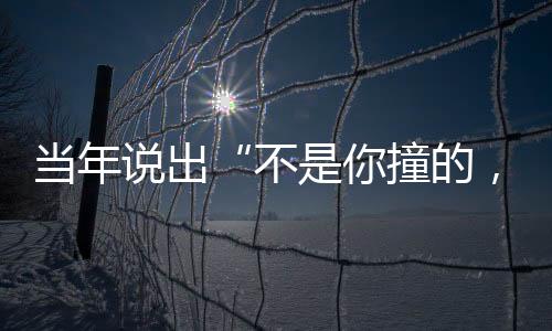 许多民众也紧抓着这句话不放