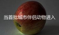 当首批城市伴侣动物进入暮年
，“宠物协和”肿瘤医生看到这些