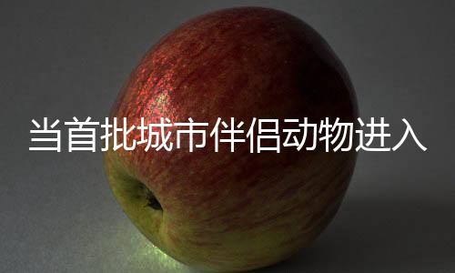 批城大家都不愿意读兽医