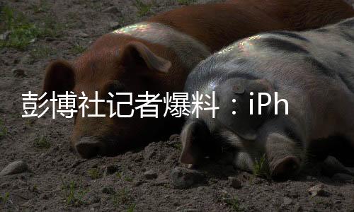 背部相机区域变化显著
