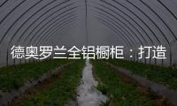 德奥罗兰全铝橱柜
：打造温柔空间 演绎专属厨房的优雅