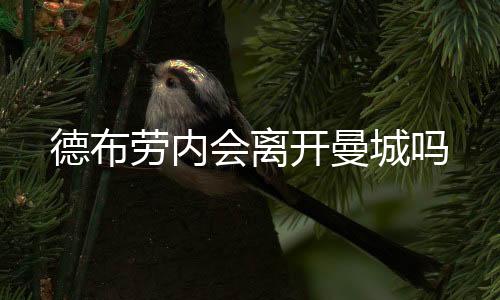 曼城被欧足联禁赛一事