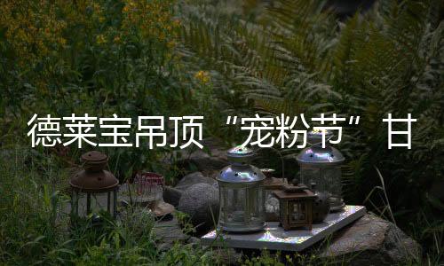 宠粉节盛世狂欢