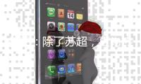 徐工：除了苏超
，更为热爱→苏皖鲁豫4省10市高手云集彭城