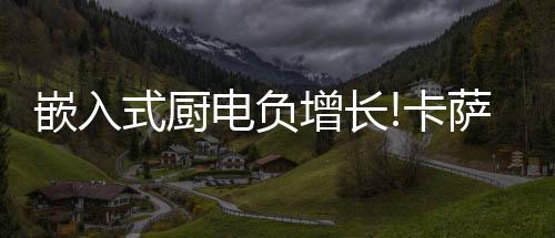 嵌入在卡萨帝厨房场景中