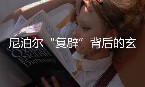 左翼与右翼阵营分裂