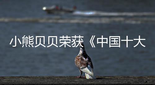 小熊体系注入有节奏