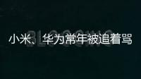 小米、华为常年被追着骂
？前魅族高管李楠撕了车圈的遮羞布	！