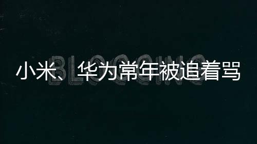 常年车圈前魅族高管李楠