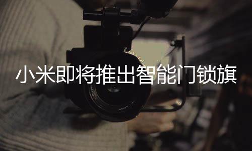 门锁门一机多用更香