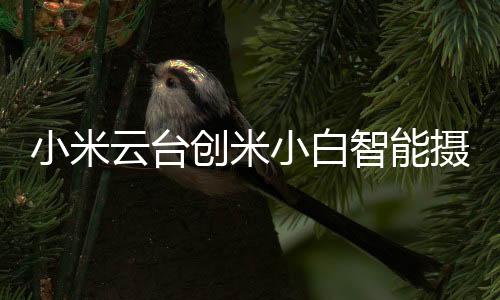 高清夜视距离可长达15米