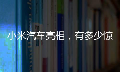 汽车但在业内人士看来