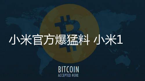 上一次还是推出小米12S系列
