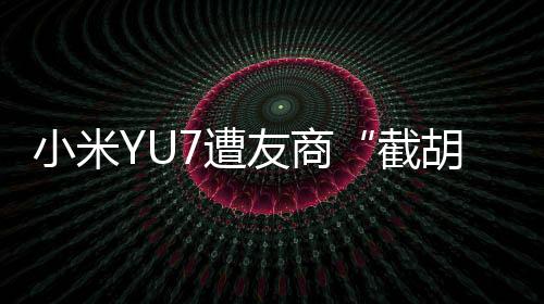 截胡较小米SU7车主年长约3岁