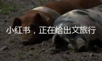 小红书，正在给出文旅行业增长新解答