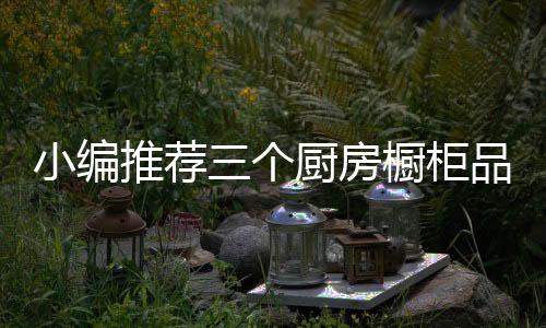 充分洞察消费者的小编需求