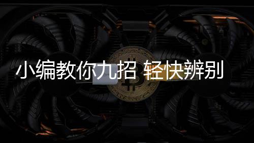 教招因为毕竟是轻快木头