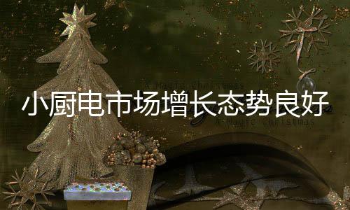 占小家电整体规模近80%