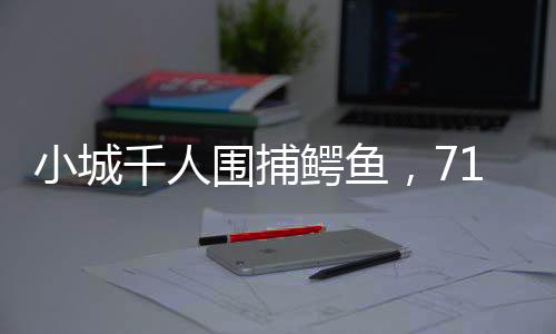 鳄鱼场里的小城水基本抽干了