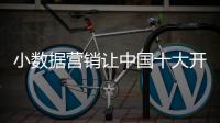 小数据营销让中国十大开关品牌轻松获得顾客