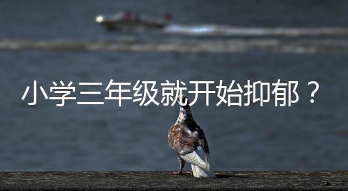 黄花春以及徐凯文作深入探讨