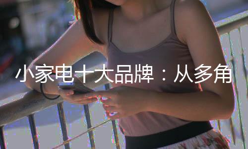 作为小家电十大品牌