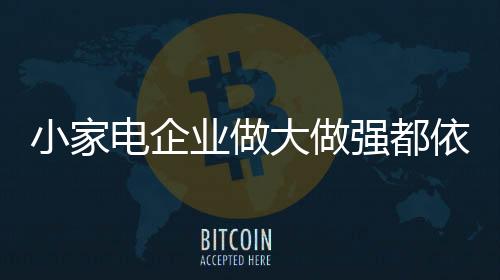 电企小家电企业想要赢得市场