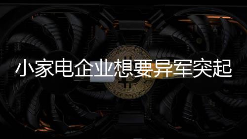 纵观当下的突起小家电市场