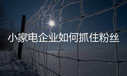 首先要发展一批铁粉