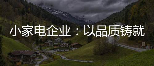 加大力度巩固和加强品牌建设