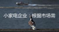 小家电企业	�
：根据市场需求而变 努力成为行业弄潮者