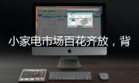 小家电市场百花齐放�，背后的安全隐患不容忽视。