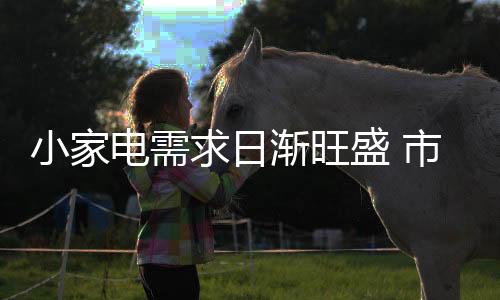 电需对小家电企业来说