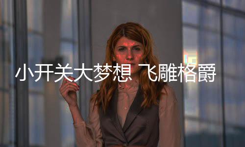 完胜传统开关的梦想塑料结构
