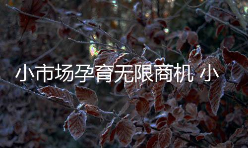 才能获得不错的企业市场份额