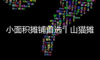 小面积摊铺首选丨山猫摊铺机为何如此厉害？