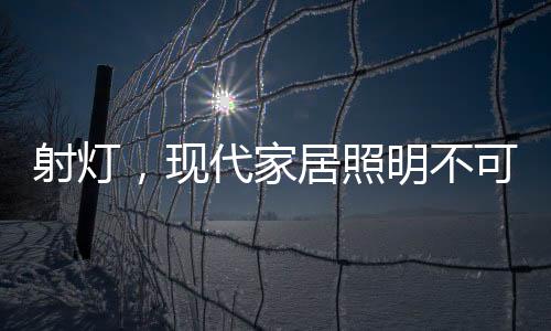 小小射灯却有大作用