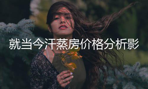 用陶瓷管发热的汗蒸房