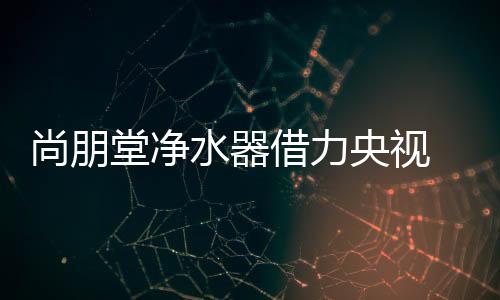 借助央视的户份传播