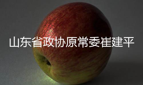 山东省政审开庭审中