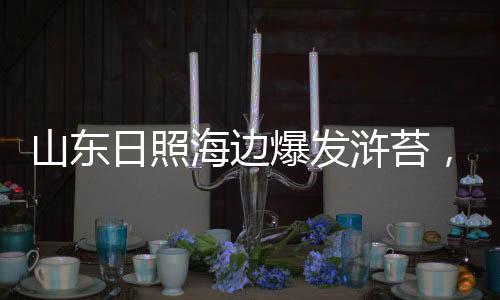 海浪不停地拍打着礁石