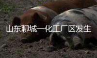 山东聊城一化工厂区发生爆炸，致5死1伤1失联