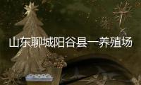 山东聊城阳谷县一养殖场发现炭疽病例
，接触者已隔离治疗