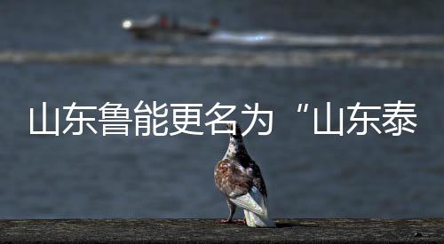 山东鲁能官方发布公告