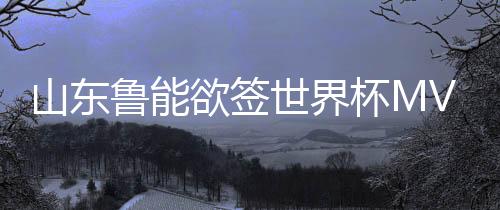 今年球队进行了明显调整