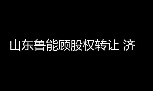 法定代表人为吴志东