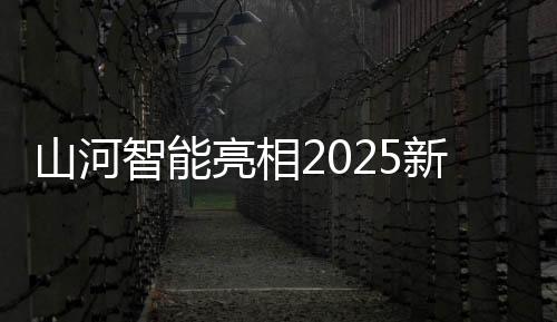 使用自研的国际智能控制器
