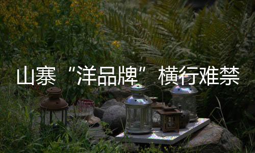 难禁在宣传广告及画册上