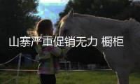 山寨严重促销无力 橱柜企业如何“逆袭”	？