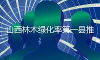 山西林木绿化率第一县推行“无火上坟”，全省森林火灾“四连降”